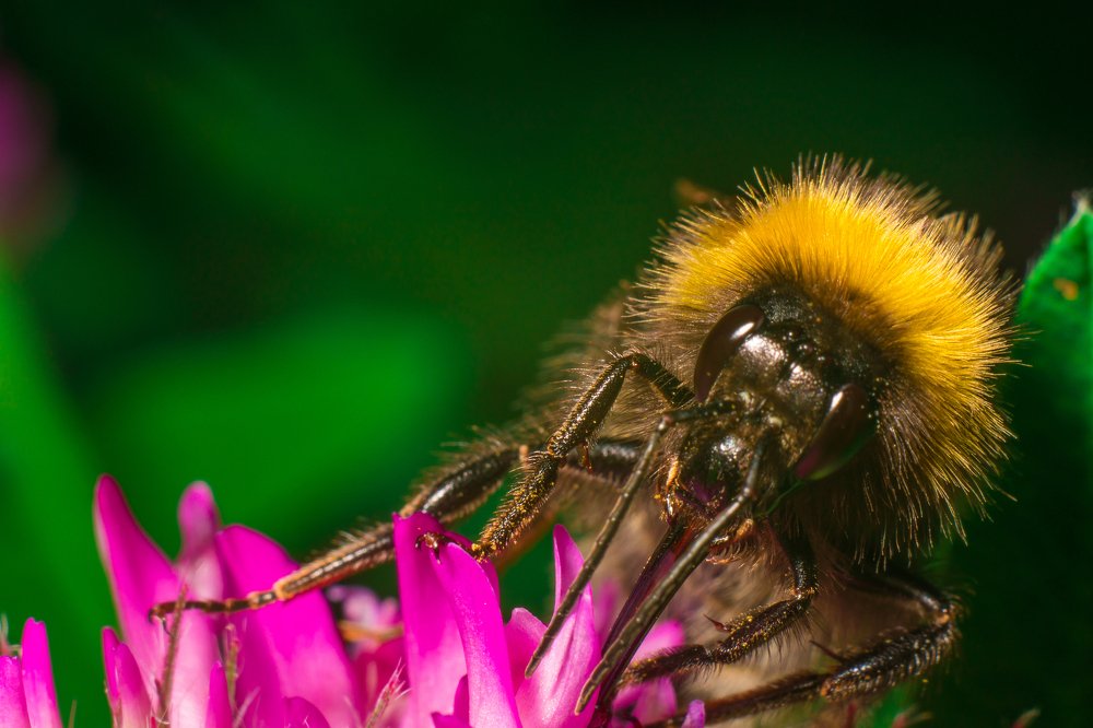 Photograph by Сергей Егоров