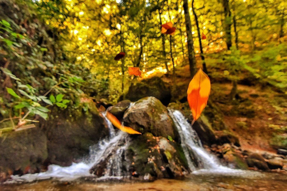 Photograph by Timur Türkmen