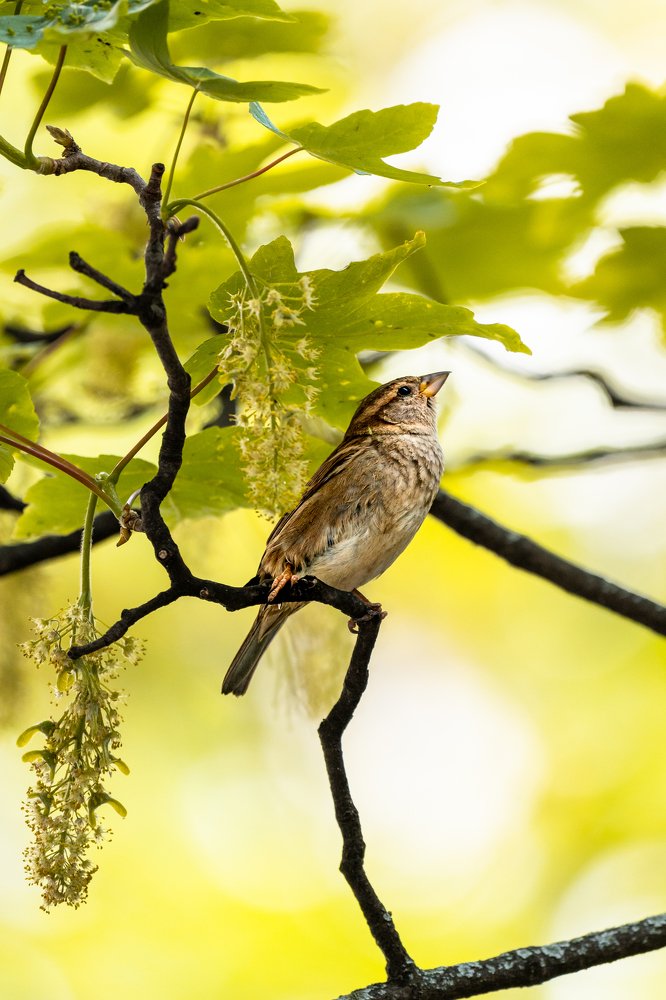 Photograph by Severin Jurka