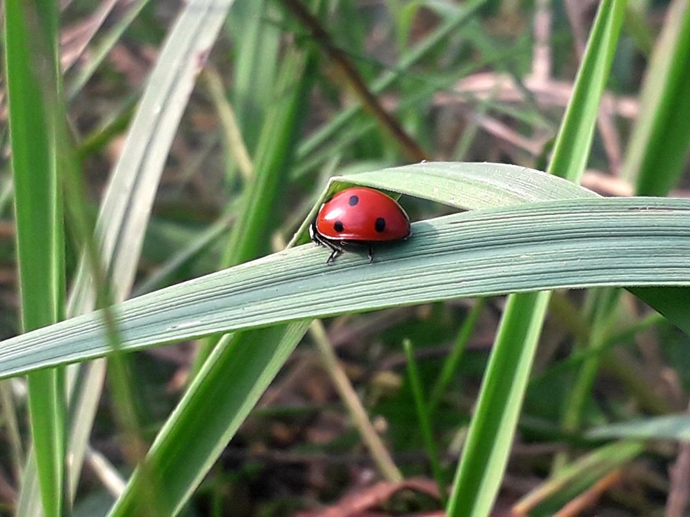 Photograph by Владимир Караман