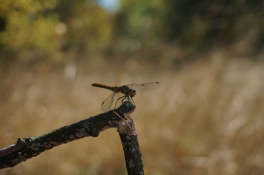 Photograph by Andreas Koff