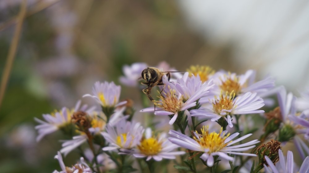 Photograph by Andreas Koff