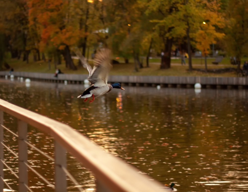 Photograph by Алексей Булгаков