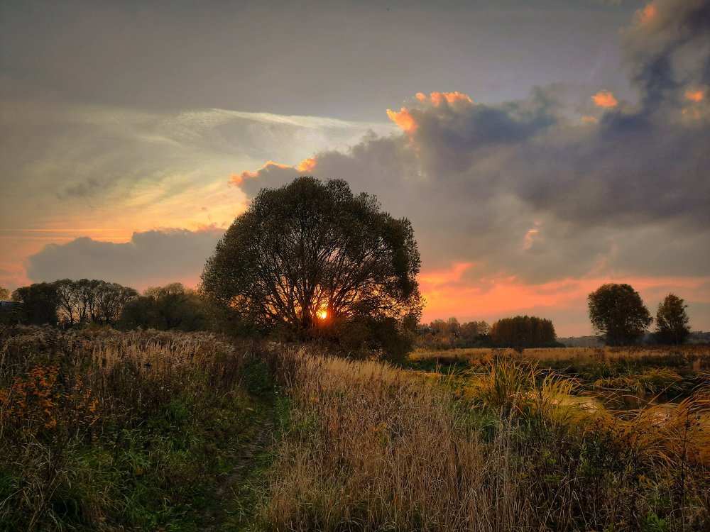 Photograph by Василий Фроленок