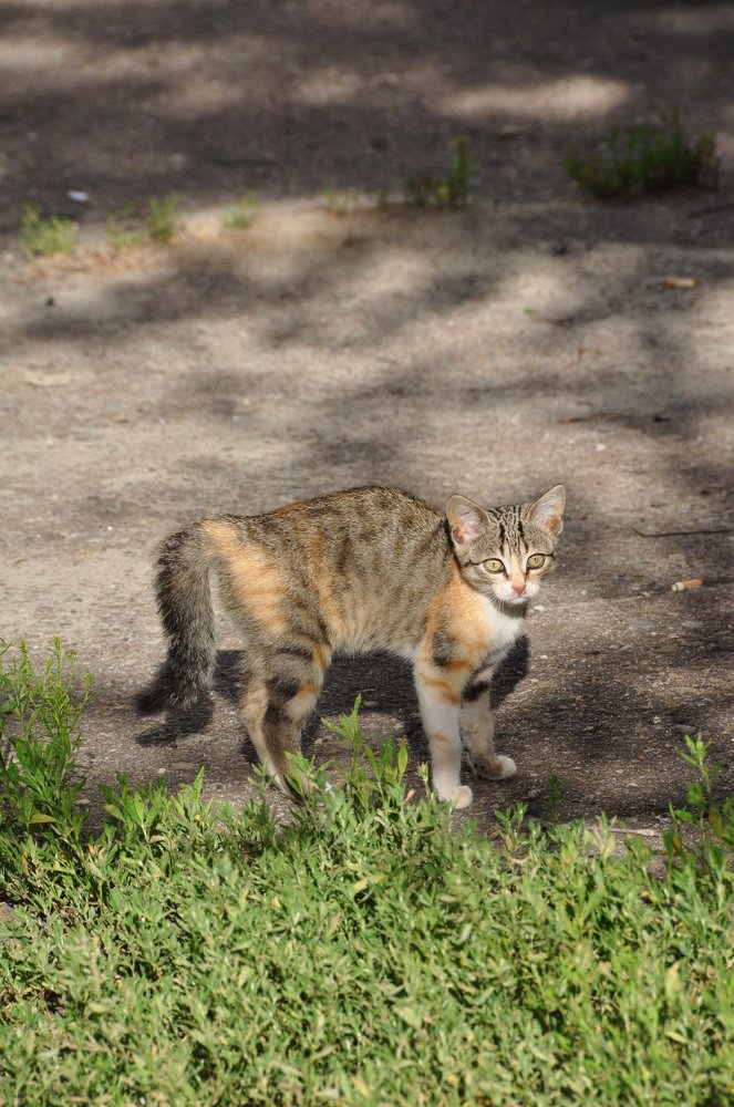 Photograph by Евгений Захаров