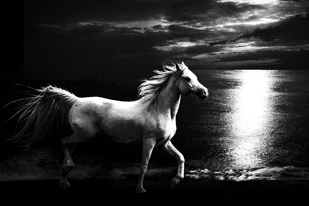 Фотография автора hadis sharifii