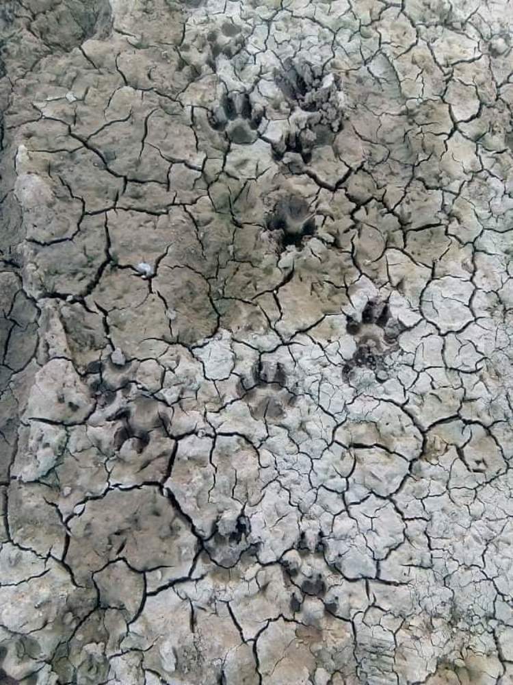 Фотография автора Bahaaddin Saber