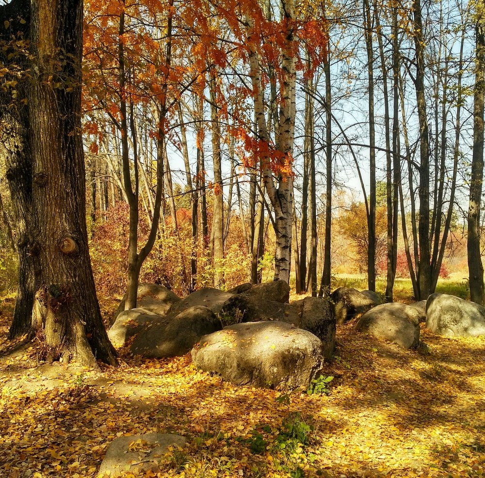 Photograph by Нурия Бикинеева