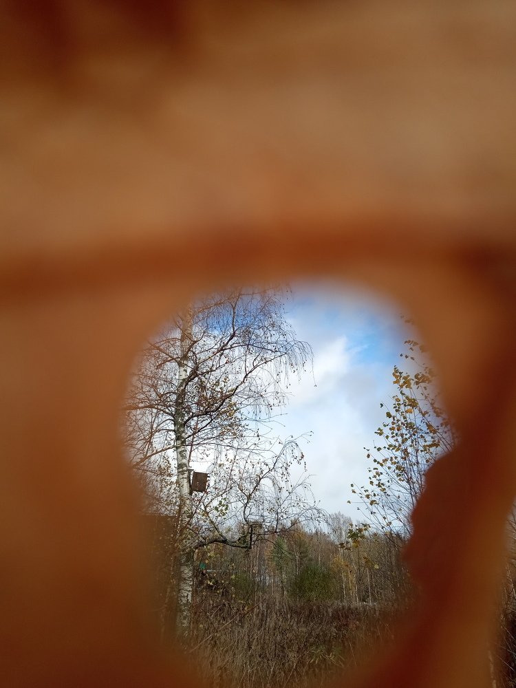 Photograph by Любовь Шаврина