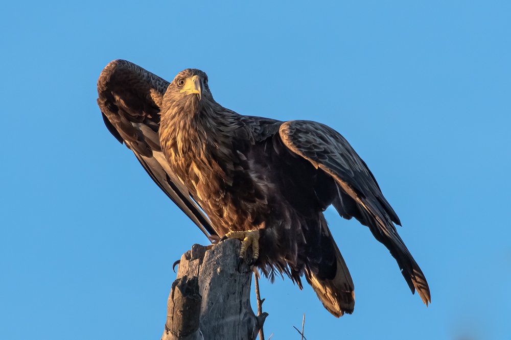 Photograph by Андрей Иванов