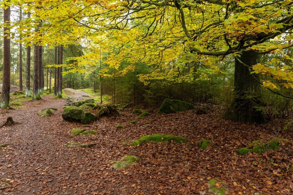 Photograph by Евгения Чех