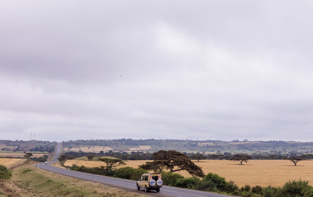 Photograph by Antony Trivet