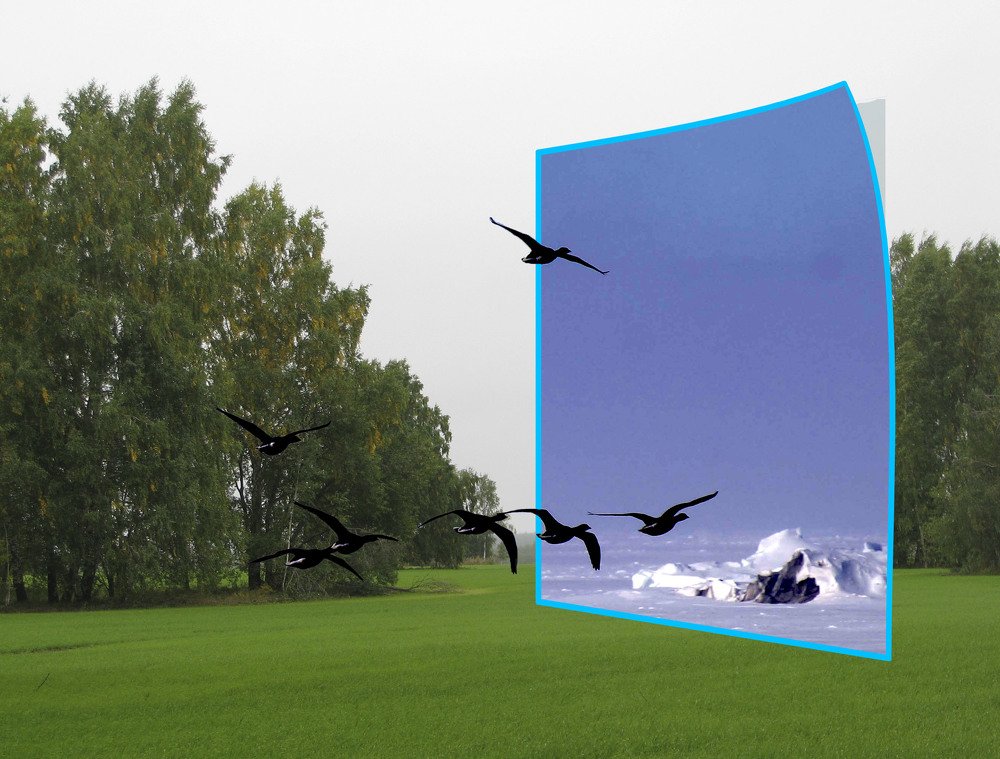 Photograph by Алексей Логинов