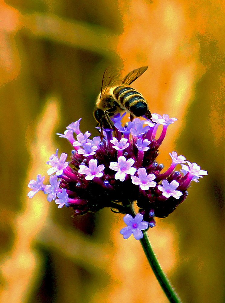 Photograph by Михаил Обертаев