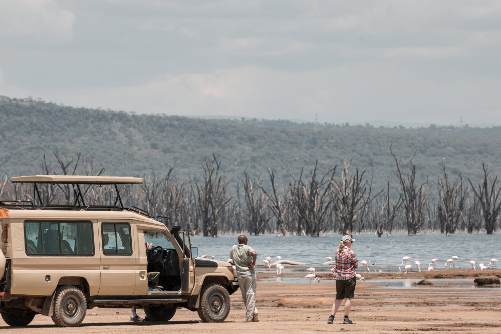 Photograph by Antony Trivet