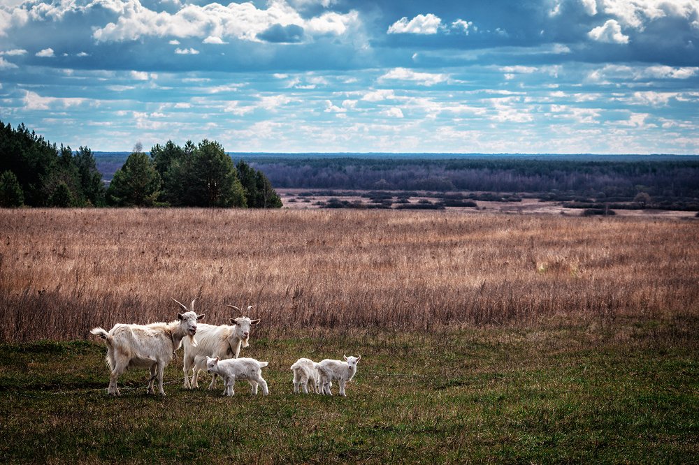 Photograph by Алена