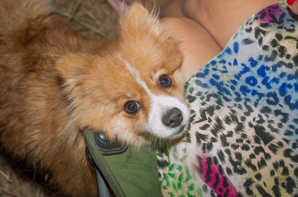 Photograph by Светлана Русанова