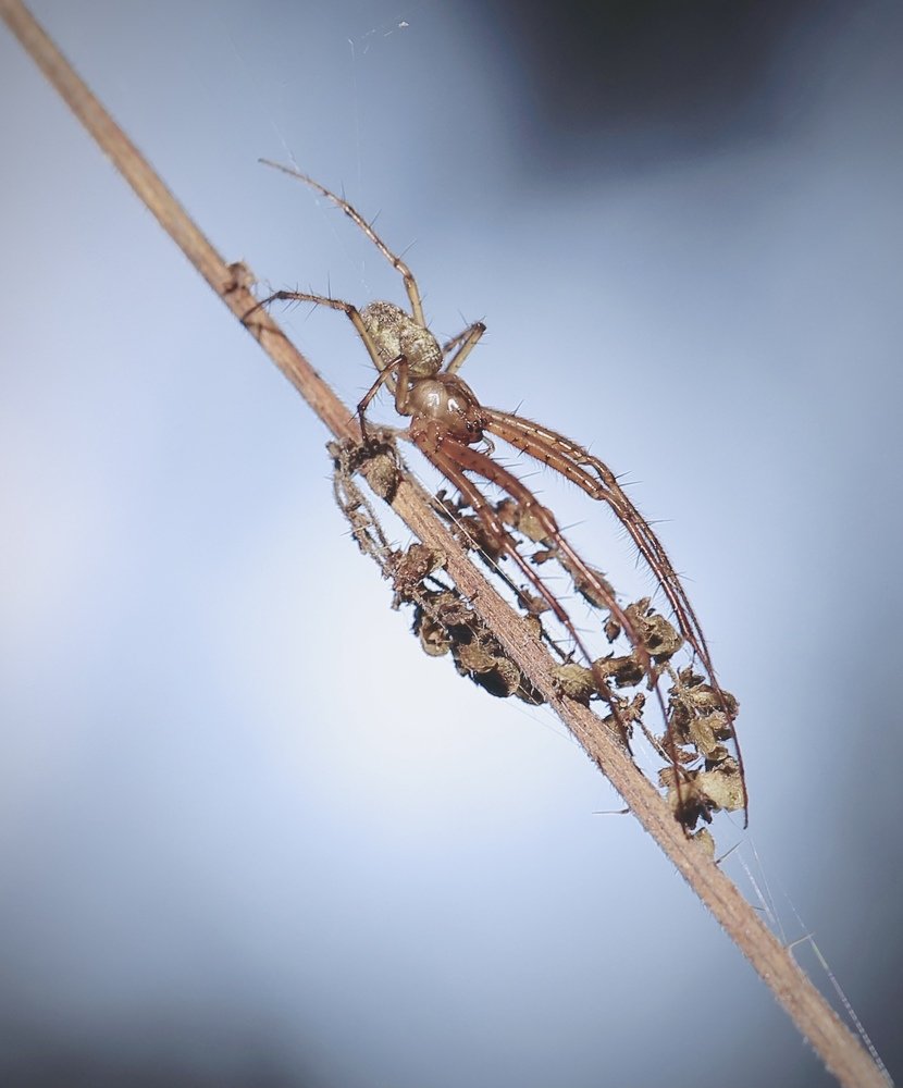 Photograph by Михаил