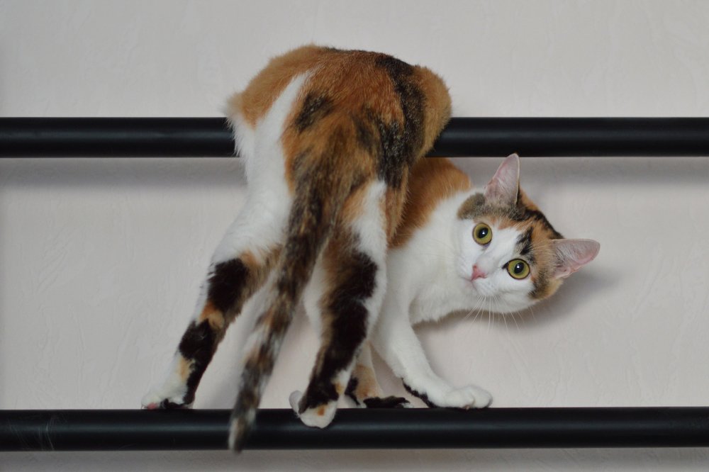 Photograph by Светлана Русанова