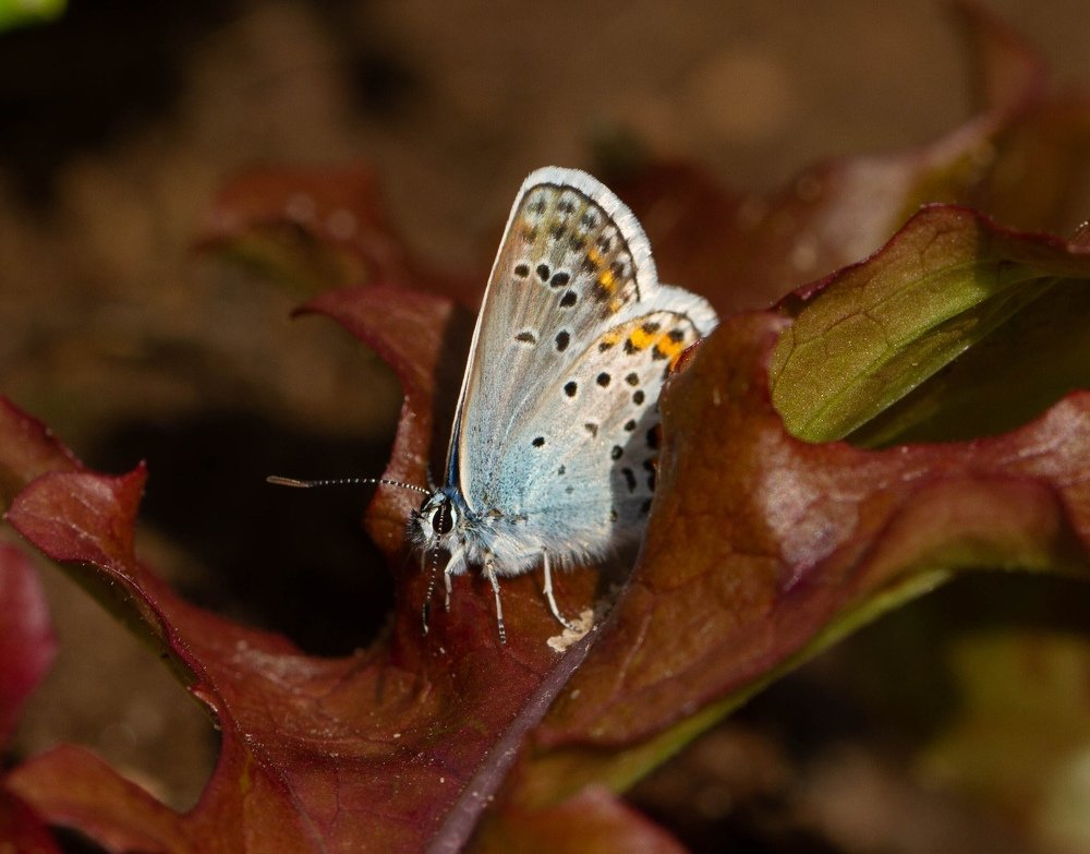 Photograph by Таня Короткова