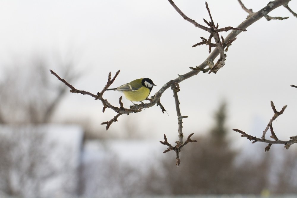 Photograph by Таня Короткова