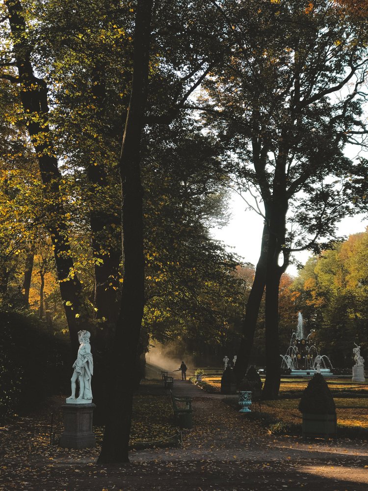 Photograph by Софья Никитченко