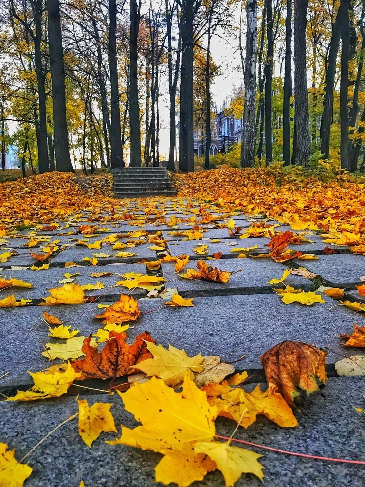 Photograph by Яна Лугинина