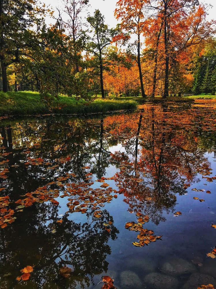 Photograph by Яна Лугинина