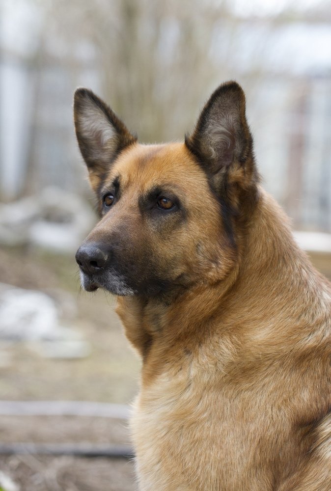 Photograph by Таня Короткова