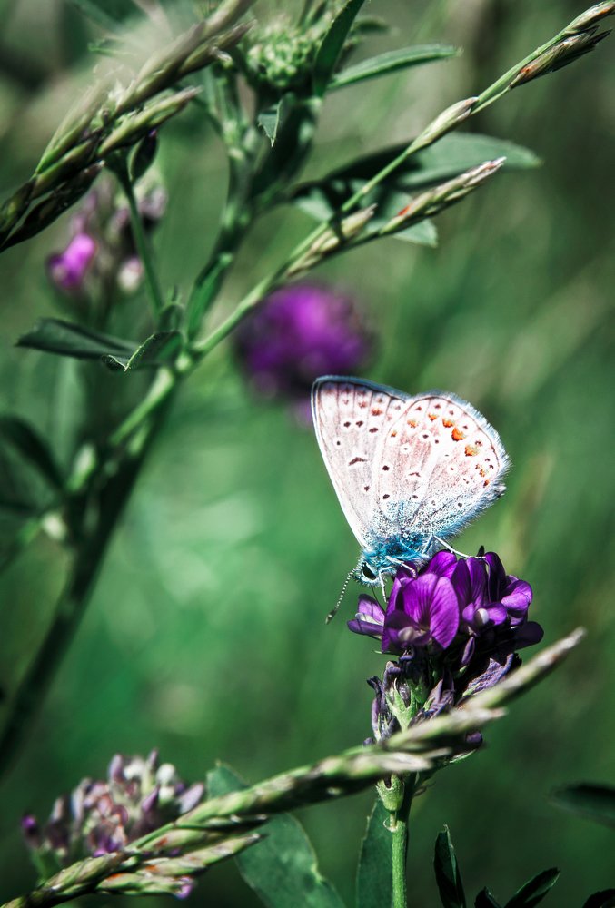 Photograph by Юлия Яровая