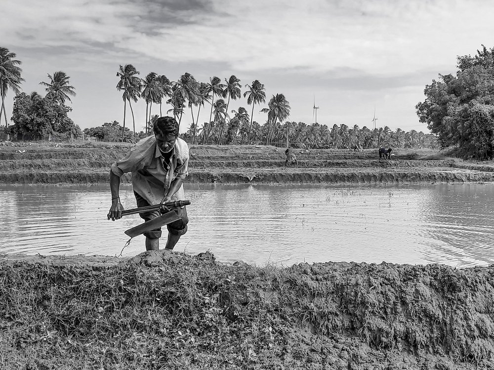 Photograph by PRABANJAN KARUPPUSAMY