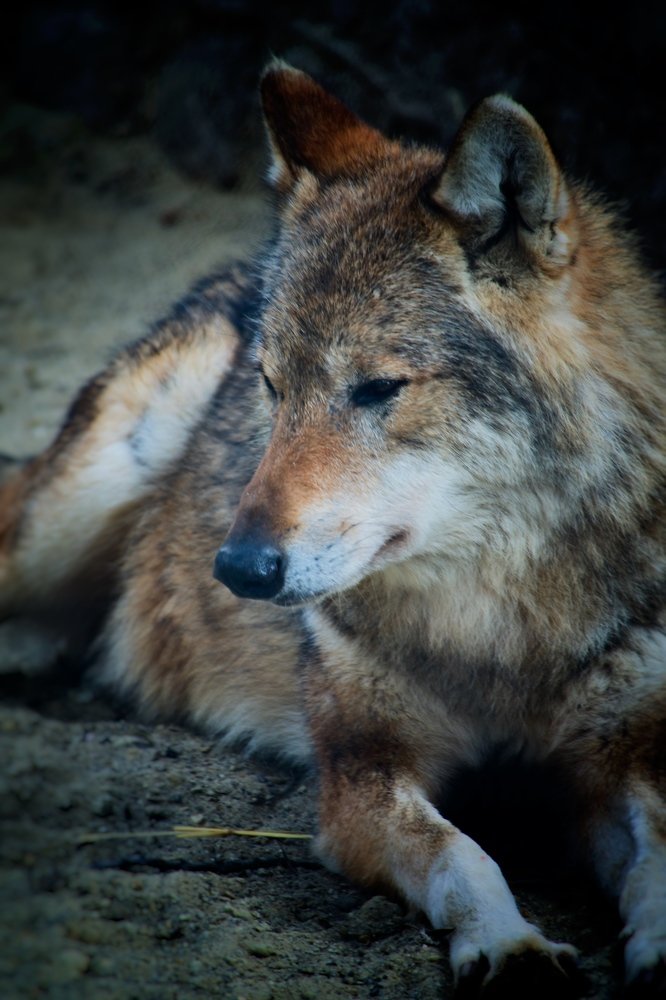 Photograph by Наталья Пирогова