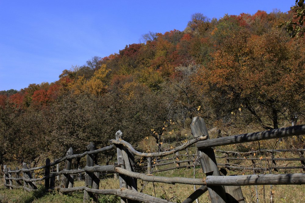 Photograph by Аля Портных