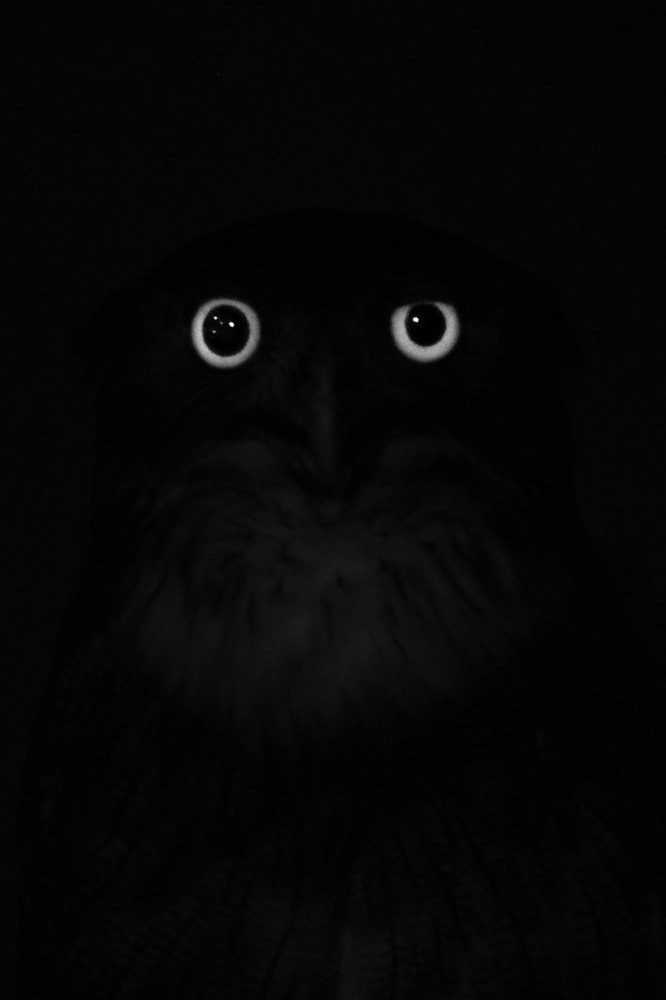 Photograph by Partha Chakraborty