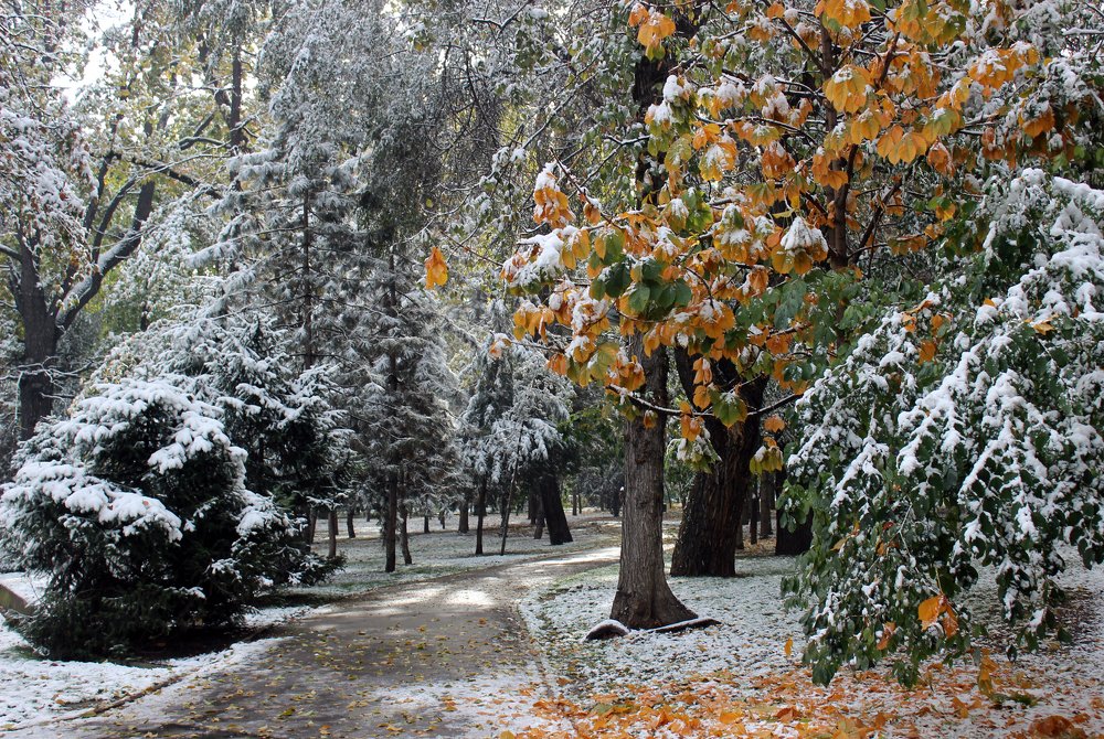 Photograph by Аля Портных