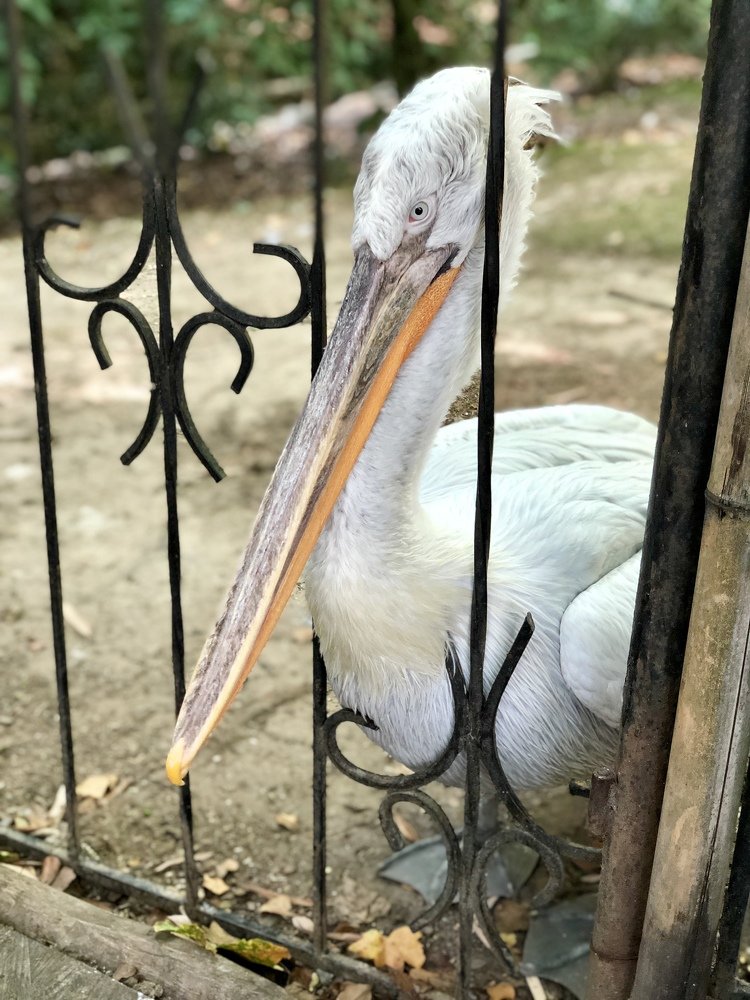 Photograph by Олеся Семенова