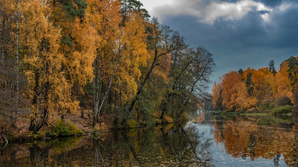 Фотография автора Игорь