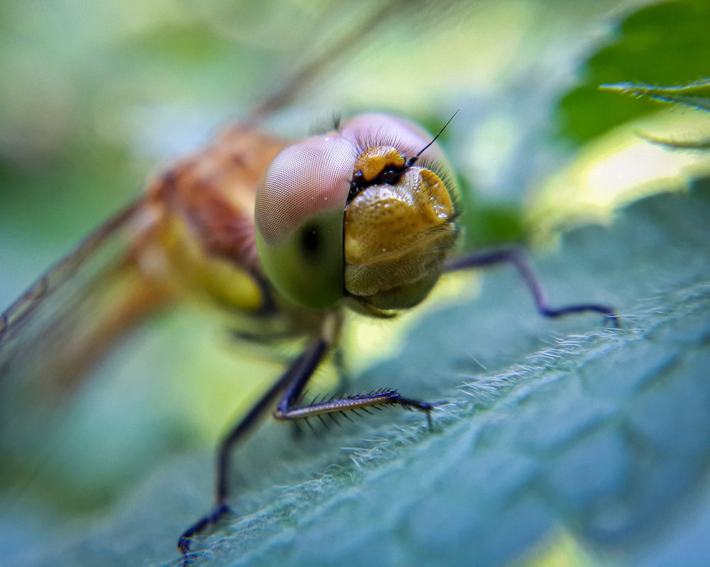 Фотография автора Дмитрий Деревянко