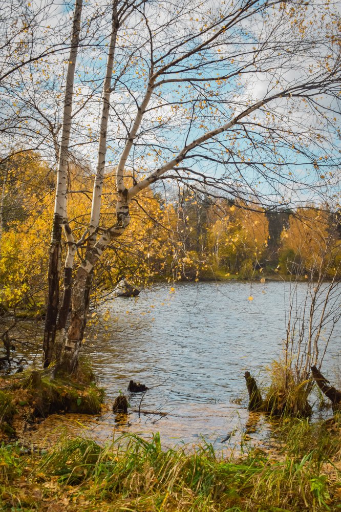 Photograph by Елизавета Никулина