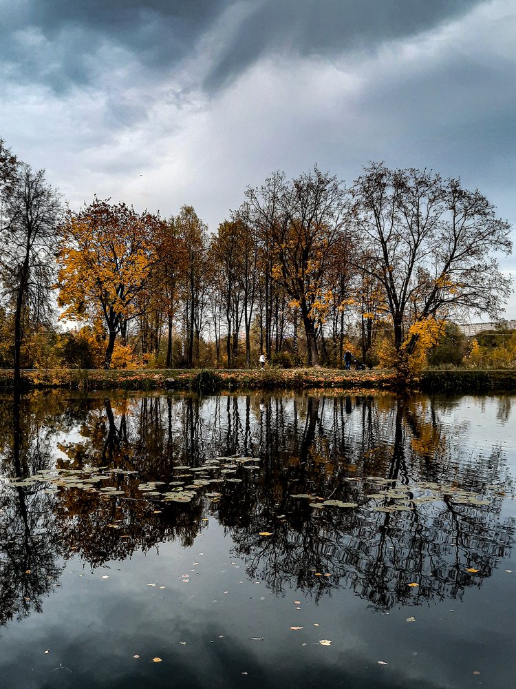 Photograph by Наталья Алехина