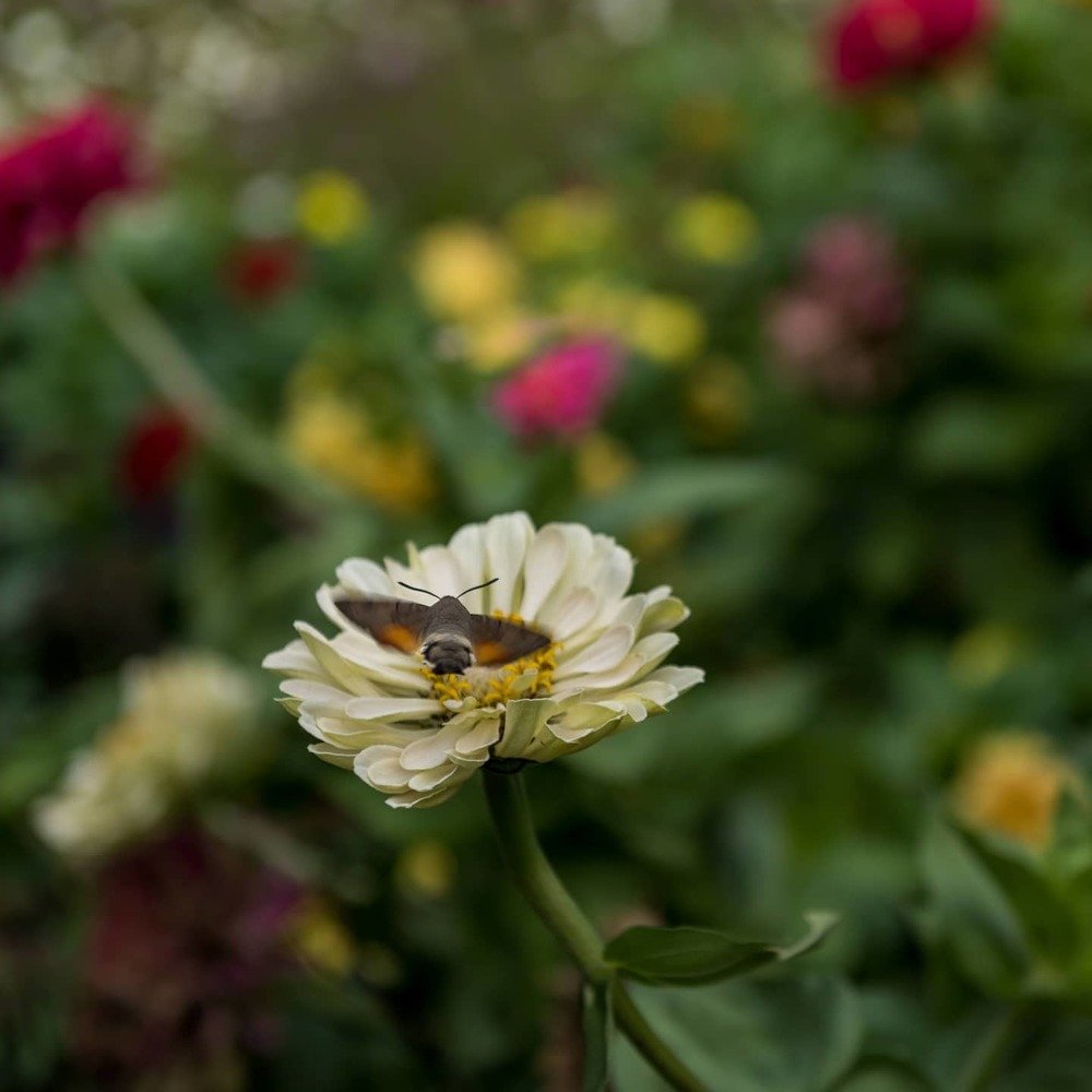 Фотография автора Natalia Starikova