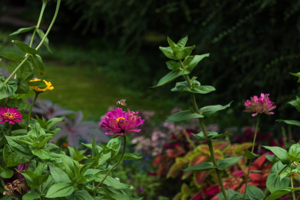 Фотография автора Natalia Starikova