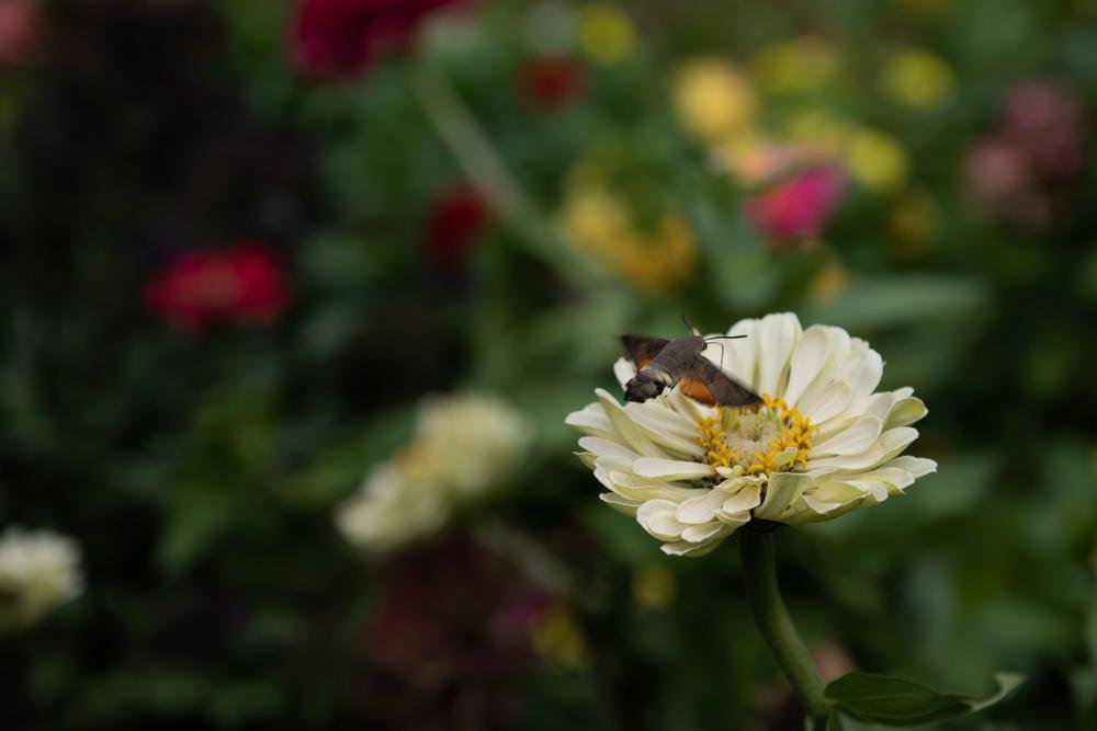 Фотография автора Natalia Starikova