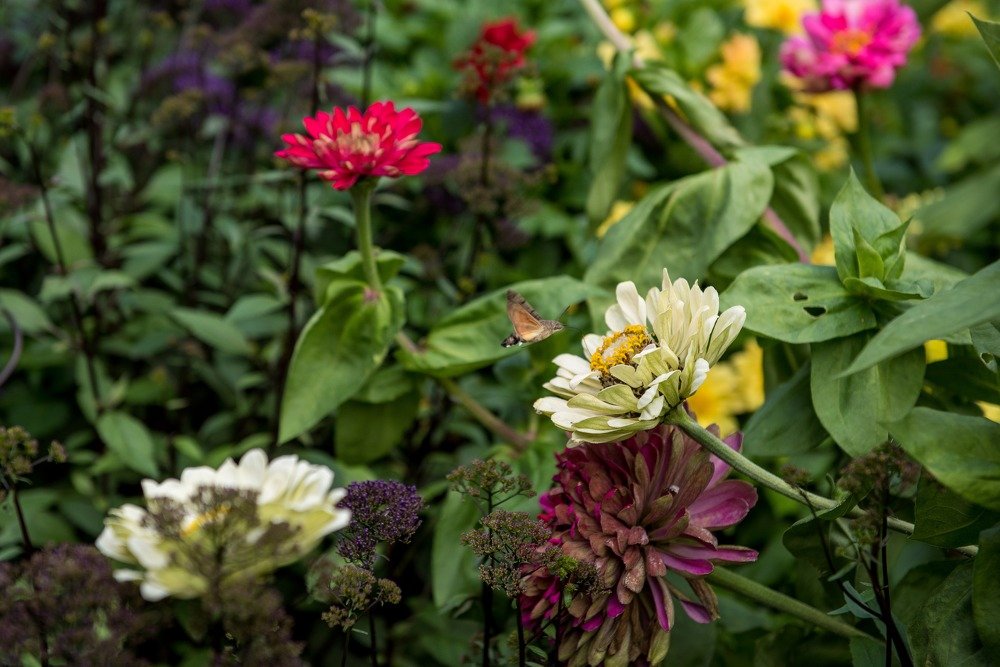 Фотография автора Natalia Starikova