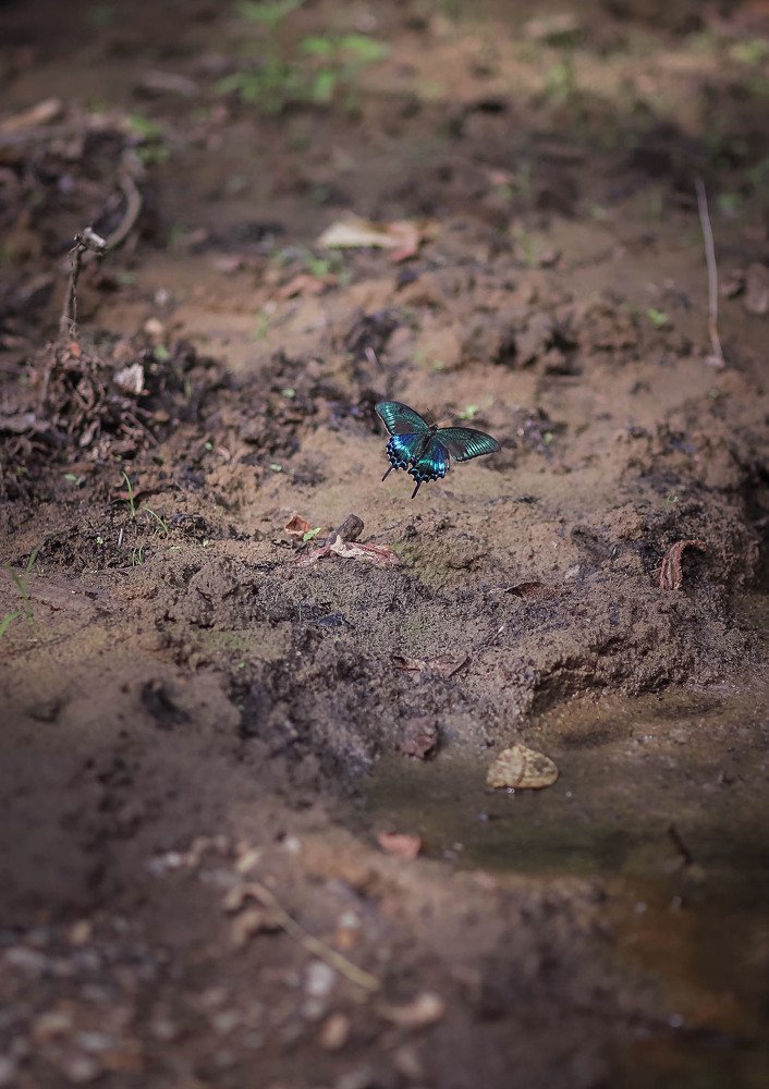 Photograph by Маргарита Федурина