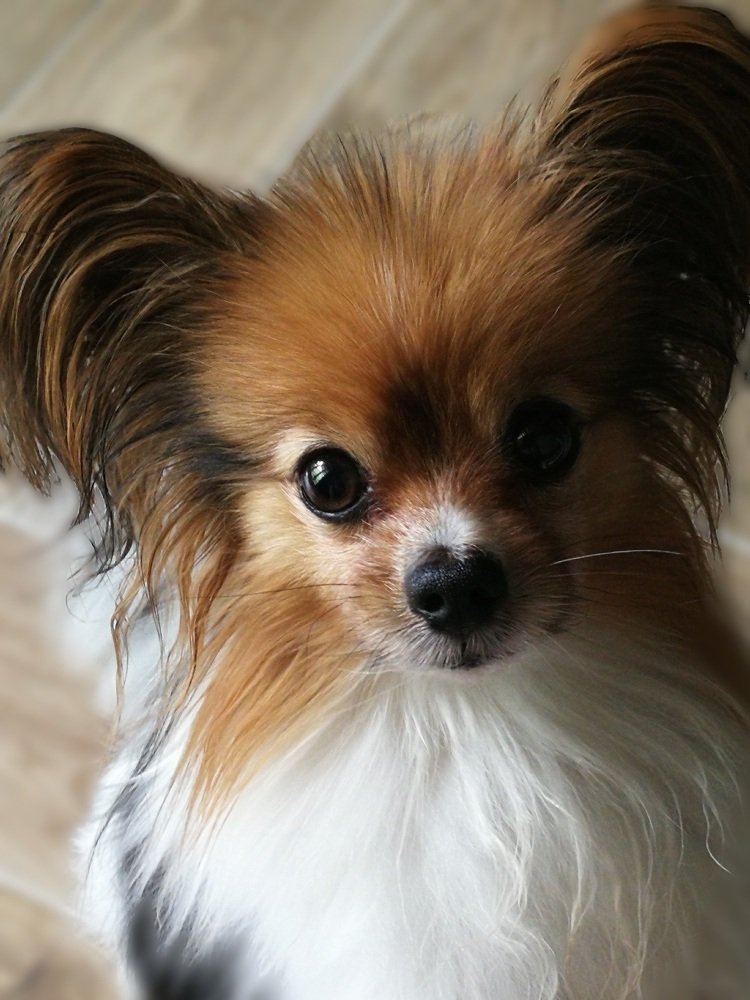 Фотография автора Павел Барский