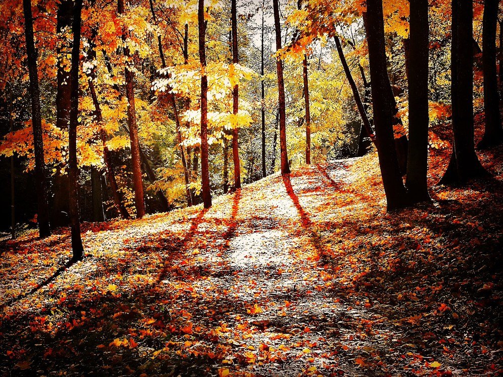 Фотография автора Павел Барский