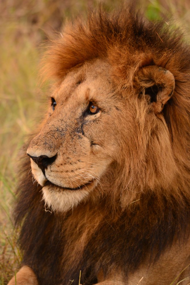 Photograph by Raquel Barao