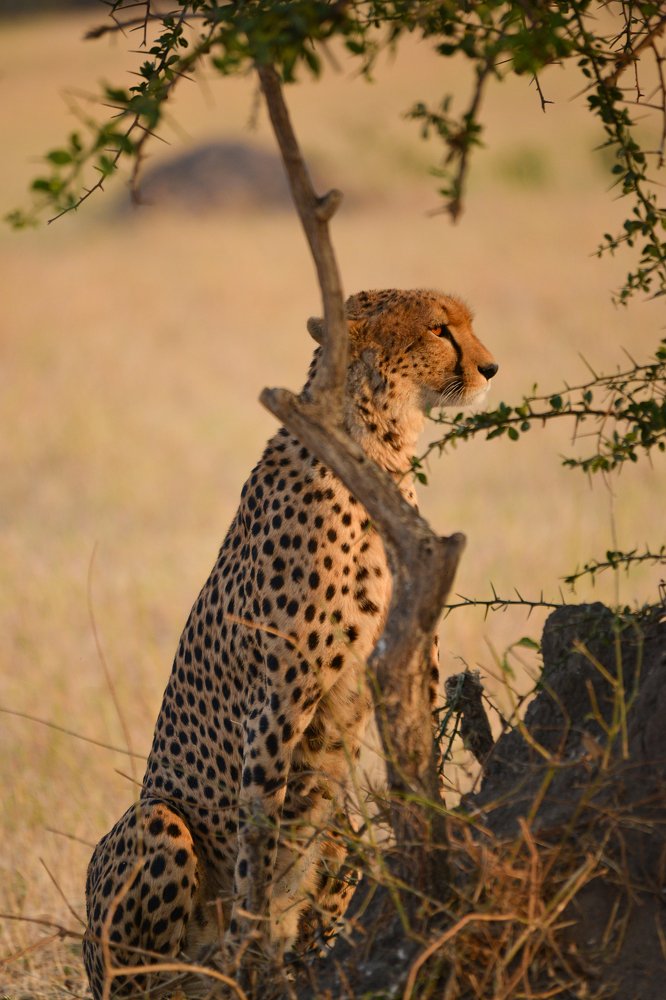 Photograph by Raquel Barao