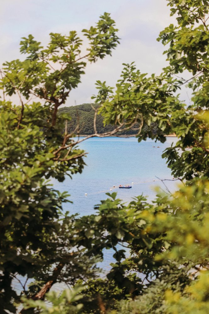 Photograph by Маргарита Федурина